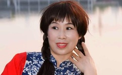 英国达人秀全集